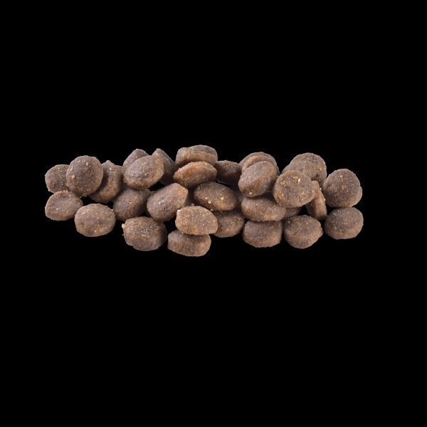 Сухий корм для цуценят Brit Care Dog Grain-free Puppy беззерновий з лососем, 3 кг 172194 фото
