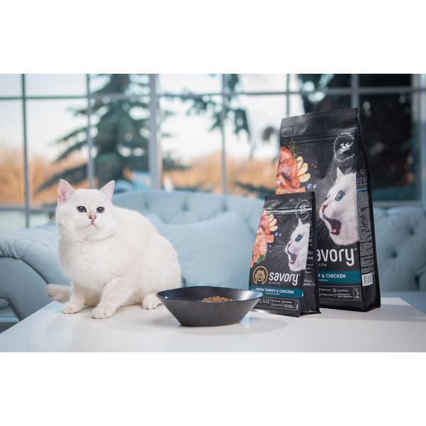 Сухий корм Savory для кошенят зі свіжим м&rsquo;ясом індички та курки, 400 г 30136 фото