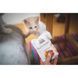 Вологий корм для котів Brit Care Cat pouch, філе в соусі, качка, 85 г 100529/0518 фото 3