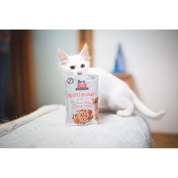 Вологий корм для котів Brit Care Cat pouch, філе в соусі, ніжна індичка і пікантний лосось, 85 г 100528/0501 фото