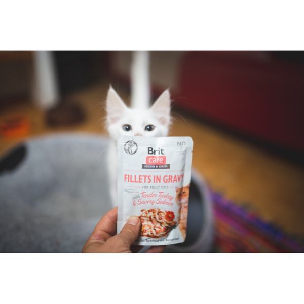 Вологий корм для котів Brit Care Cat pouch, філе в соусі, ніжна індичка і пікантний лосось, 85 г 100528/0501 фото