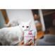 Вологий корм для котів Brit Care Cat pouch, філе в соусі, пікантний лосось, 85 г 100530/0525 фото 3