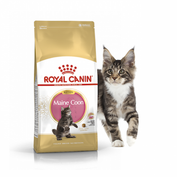 Сухой корм ROYAL CANIN MAINE COON KITTEN 2 кг 2558020 фото