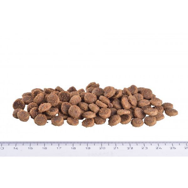 Сухой корм для кошек, при заболеваниях почек Brit GF Veterinary Diet Renal 2 кг (яйцо) 170957/528325 фото