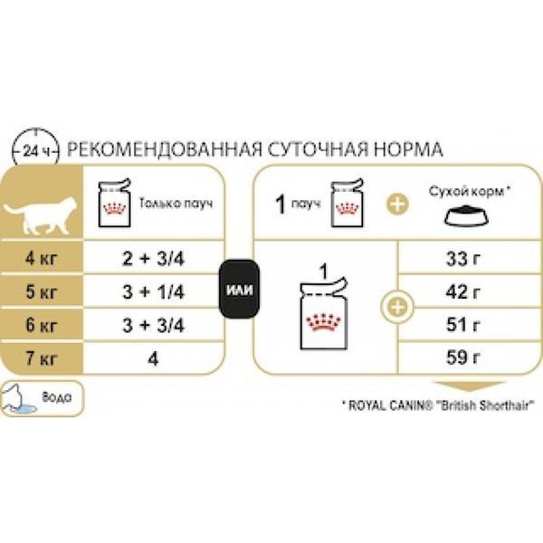 Вологий корм ROYAL CANIN BRITISH SHORTHAIR ADULT (ШМАТОЧКИ В СОУСІ) 85 г 20320010 фото