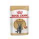 Вологий корм ROYAL CANIN BRITISH SHORTHAIR ADULT (ШМАТОЧКИ В СОУСІ) 85 г 20320010 фото 1