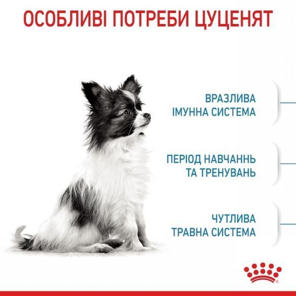 Сухий корм ROYAL CANIN PUPPY X-SMALL 0,5 кг 10020051 фото