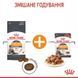 Вологий корм ROYAL CANIN HAIR & SKIN CARE (шматочки в соусі) 85 г 40710010 фото 2