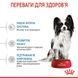 Сухий корм ROYAL CANIN PUPPY X-SMALL 0,5 кг 10020051 фото 4