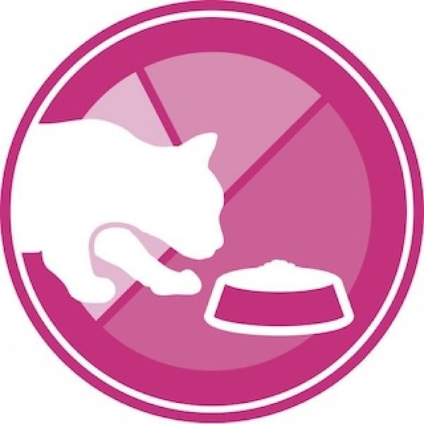 Сухий корм ROYAL CANIN SAVOUR EXIGENT 2 кг 2531020 фото