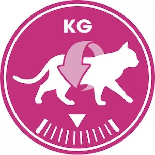 Сухий корм ROYAL CANIN SAVOUR EXIGENT 2 кг 2531020 фото