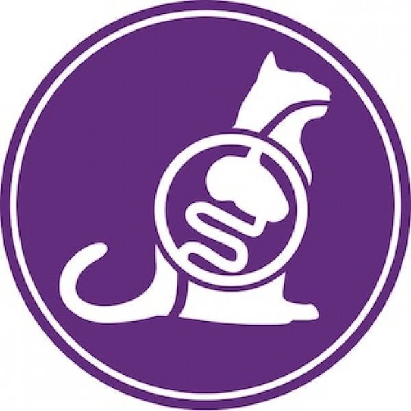 Сухий корм ROYAL CANIN SENSIBLE 10 кг 2521100 фото