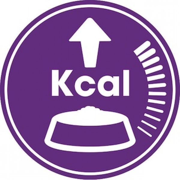Сухий корм ROYAL CANIN SENSIBLE 10 кг 2521100 фото