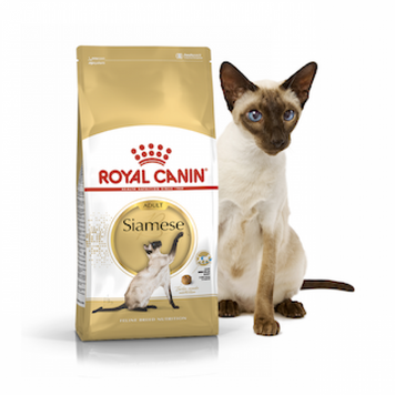 Сухой корм ROYAL CANIN SIAMESE ADULT 400 гр 2551004 фото