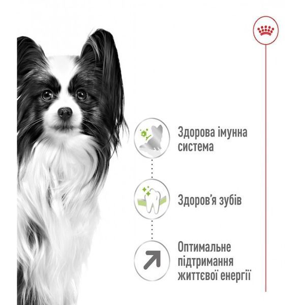Сухий корм ROYAL CANIN X-SMALL ADULT 8+, 3 кг 10040300 фото