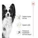 Сухий корм ROYAL CANIN X-SMALL ADULT 8+, 3 кг 10040300 фото 3