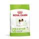 Сухий корм ROYAL CANIN X-SMALL ADULT 8+, 3 кг 10040300 фото 1