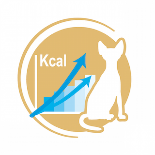 Сухий корм ROYAL CANIN SPHYNX ADULT 10 кг 2556100 фото