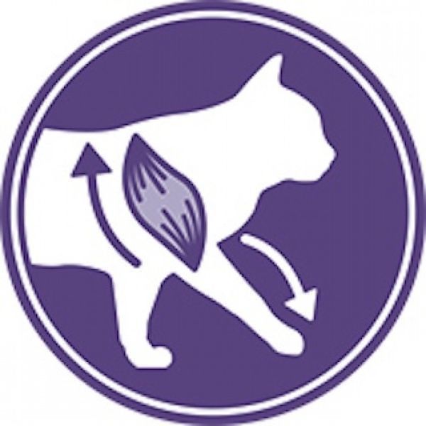 Сухой корм ROYAL CANIN STERILISED 2 кг 2537020 фото