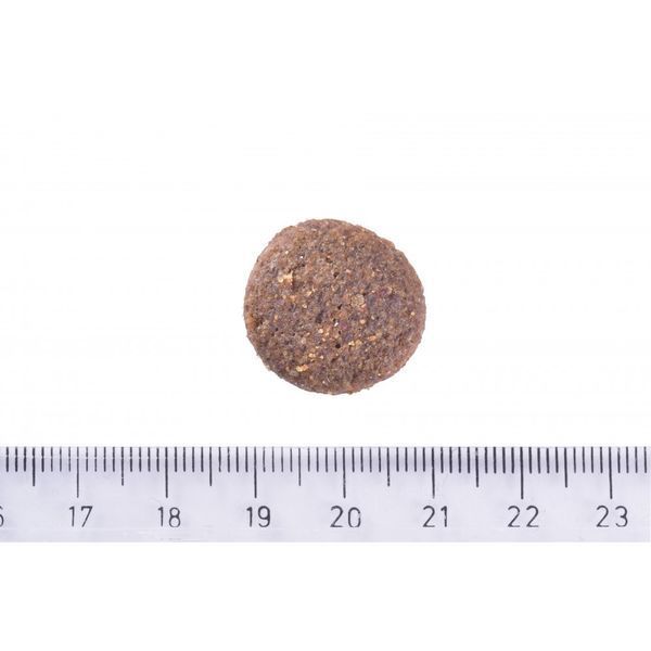 Сухий корм для собак великих порід Brit Care Dog Hypoallergenic Adult Large Breed гіпоалергенний з ягням, 3 кг 172221 фото