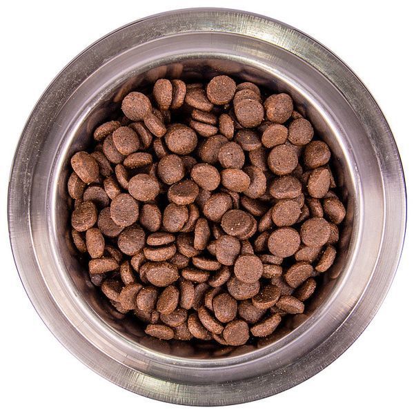 Сухой корм Monge Dog Bwild Grain Free утка 2.5 кг 70004732 фото