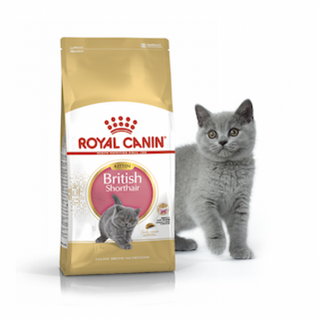 Сухой корм ROYAL CANIN BRITISH SHORTHAIR KITTEN 2 кг 2566020 фото